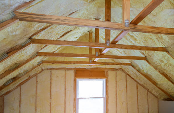 Best Commercial Insulation in Ringgold, GA